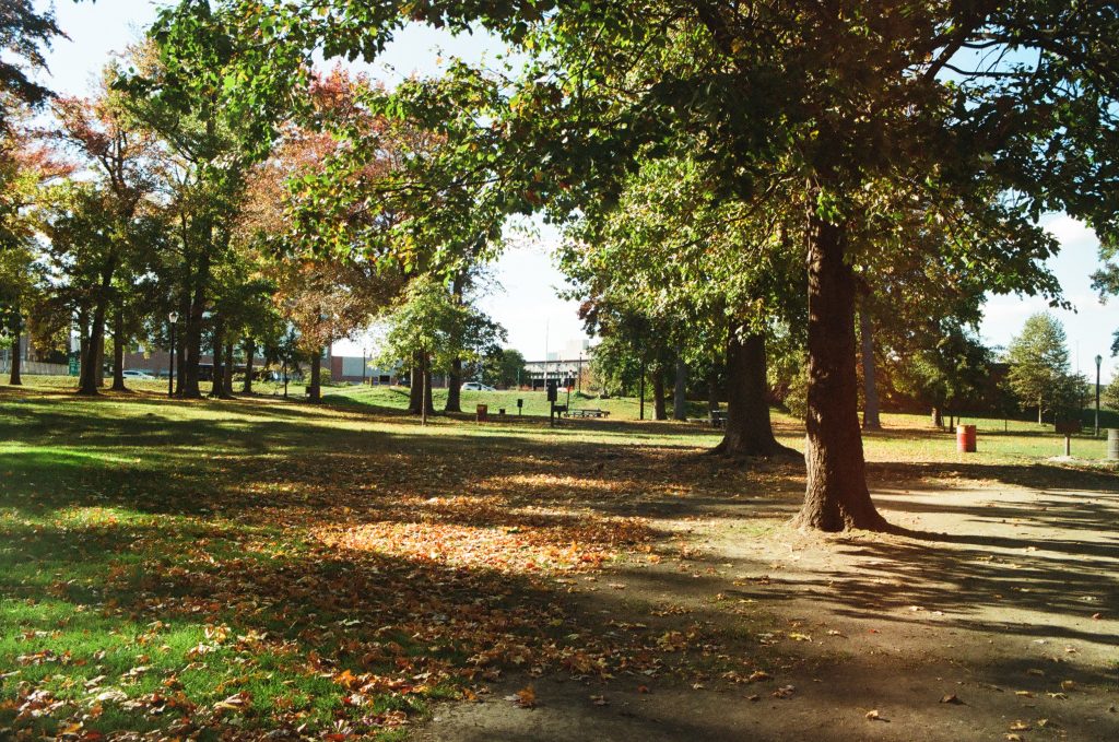 Pelham Bay Park, Pelham, Bronx, NY October 10, 2024