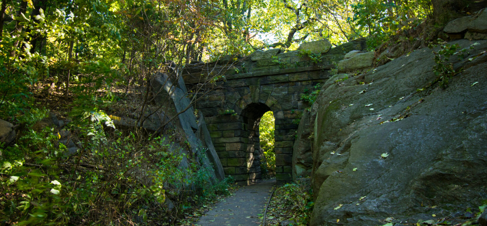 A curved path leads to a stone arch, partly obscured by trees.