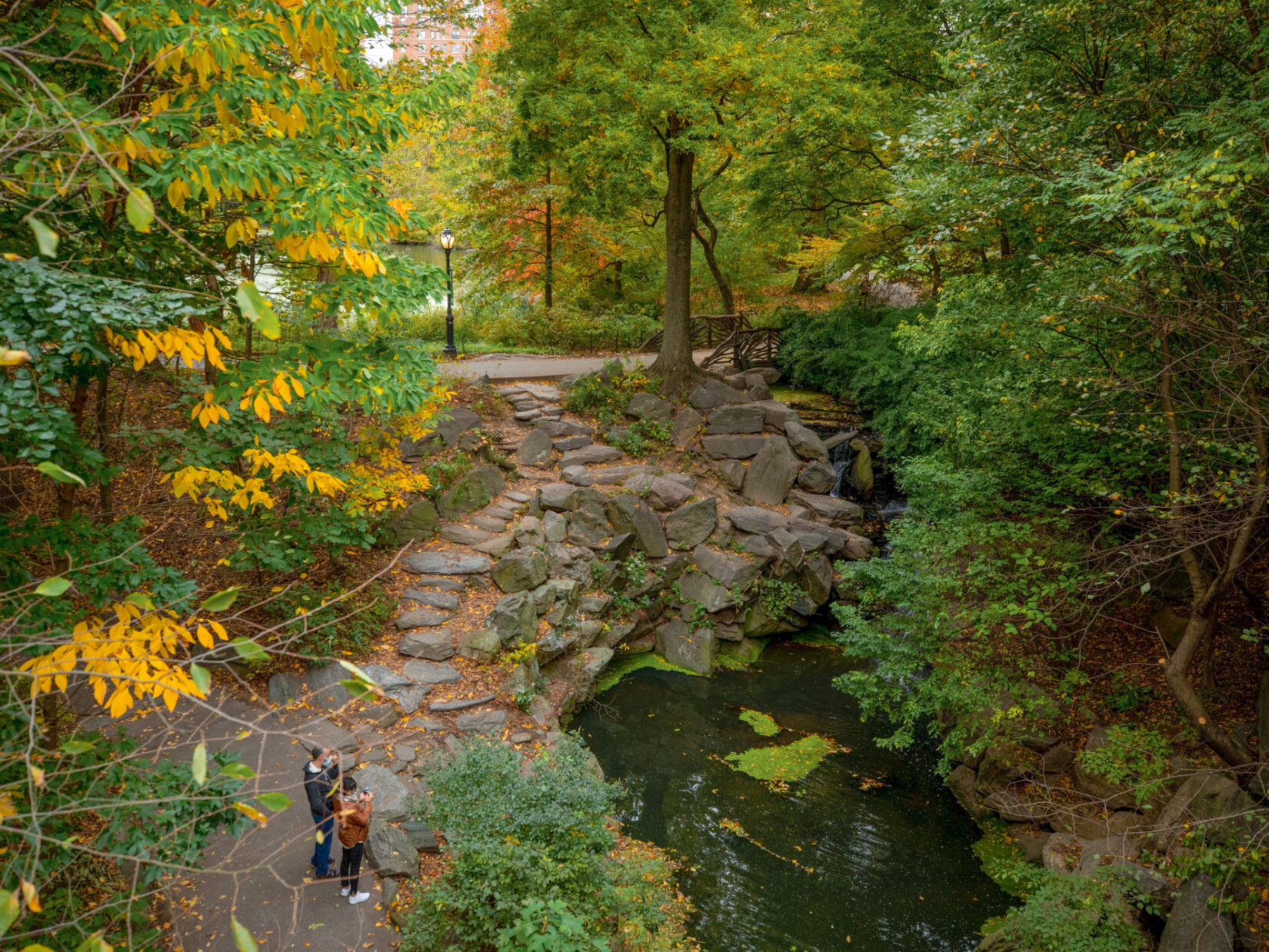 The Ravine in Central Park, October 2022