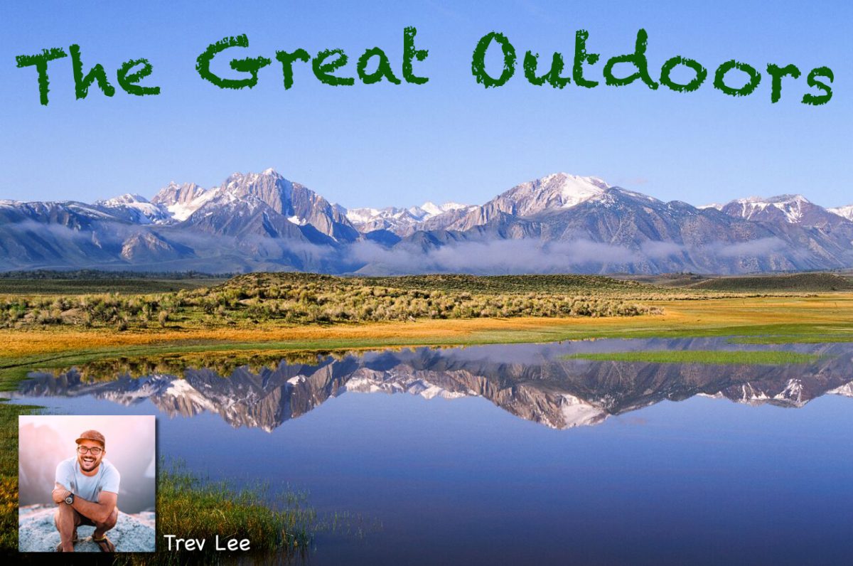 trevorpicforfblgflattened